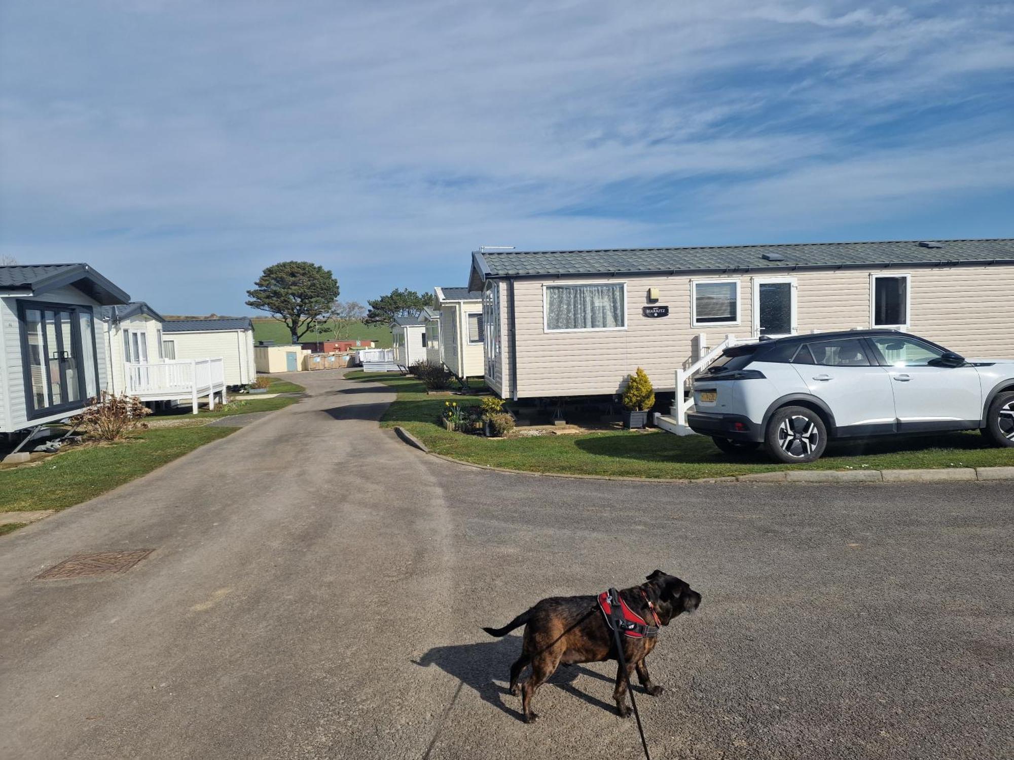 Durdlee Door, D27, Main Rd, West Lulworth, Wareham Bh20 5Pu Hotel Kültér fotó